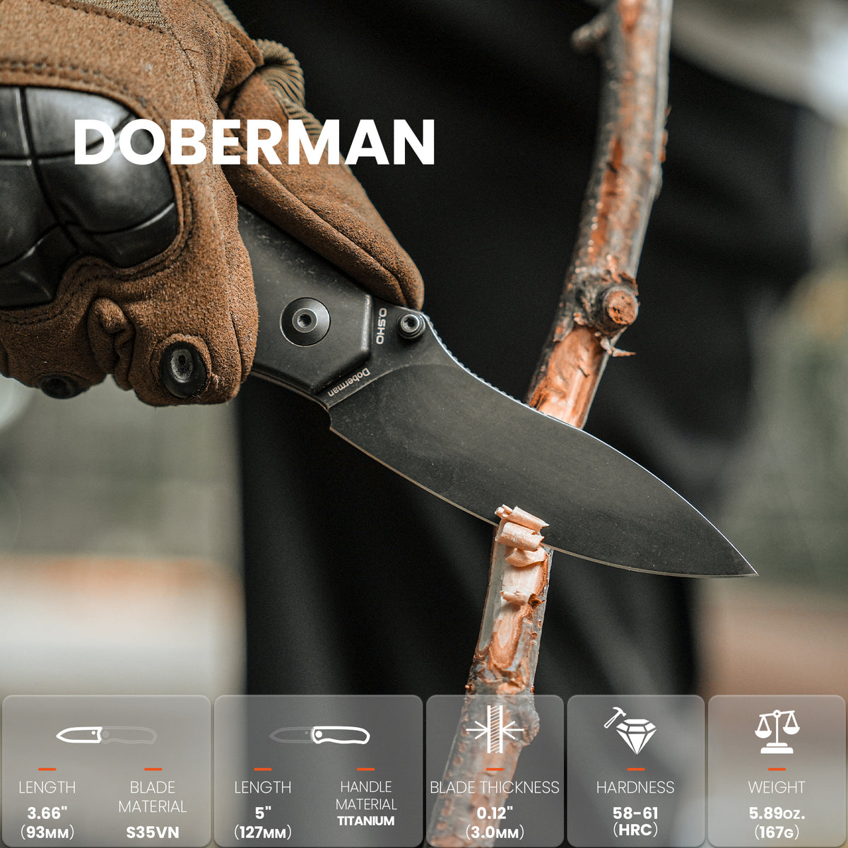Doberman | S35VN | Titanium | Ki4639A1
