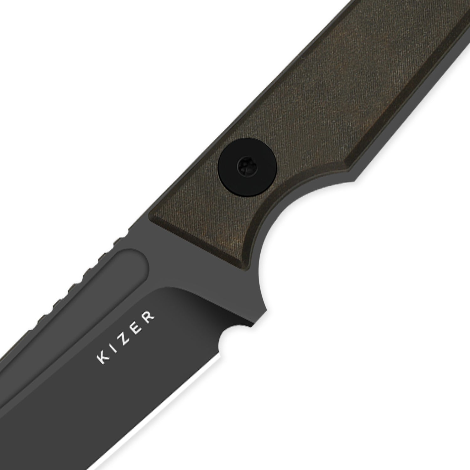 Phasmids | AEB-L | Chocolate Glacier | KizerV™ 1079A2