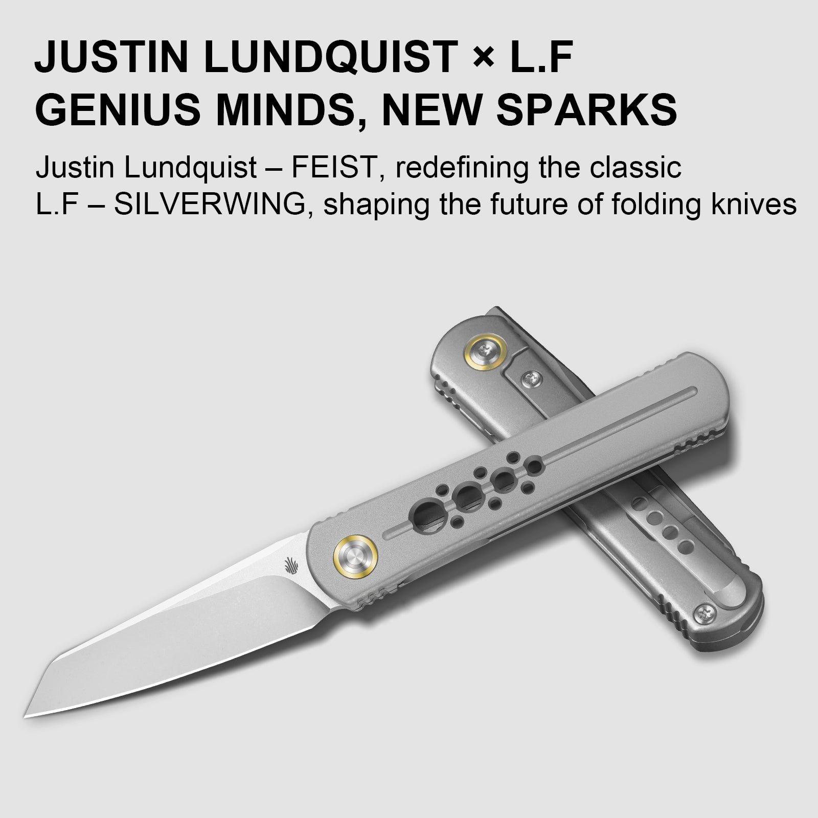 Feist 2  | M390 | Titanium | Limited | KIZERX® 3499.2A1
