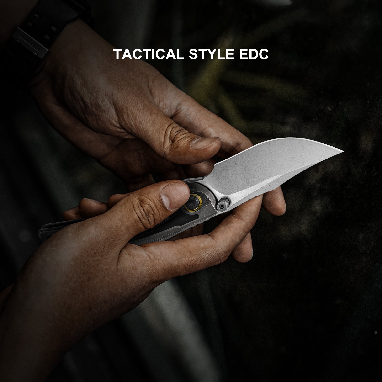 SILVERWING | M390 | Titanium | Limited | KIZERX® FK01A1